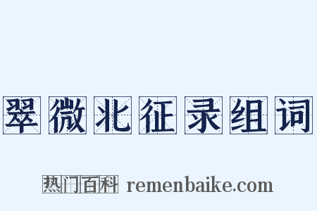 翠微北征录组词是什么意思的图片